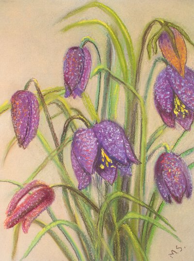 Bunch of Fritillaria by Margo Starkey